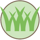 Mowing and Shrub Trimming Pros