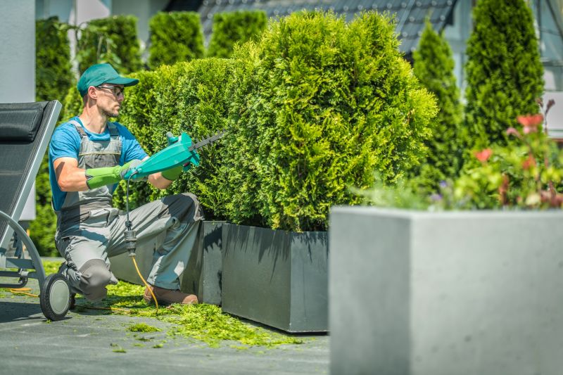 Lawn Maintenance Service