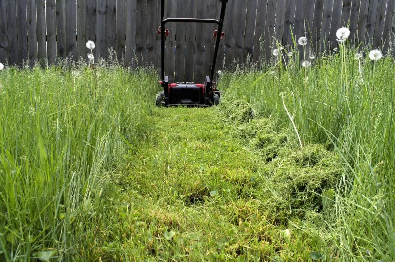 Mowing And Shrub Trimming detail
